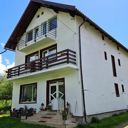 Pensiunea Constanta 2* 布朗