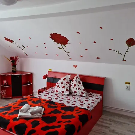 Pensiunea Constanta 2*