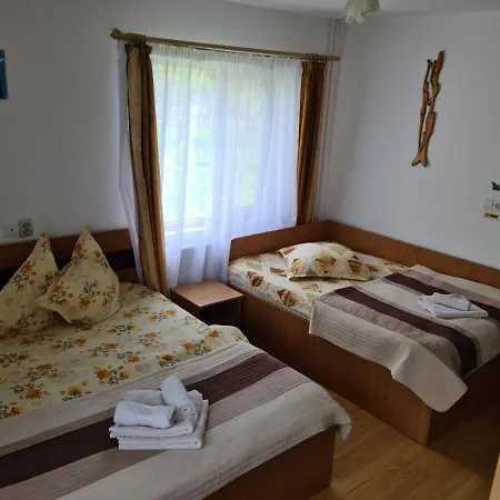 Pensiunea Constanta 招待所 布朗