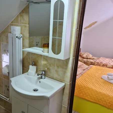 Pensiunea Constanta 2*